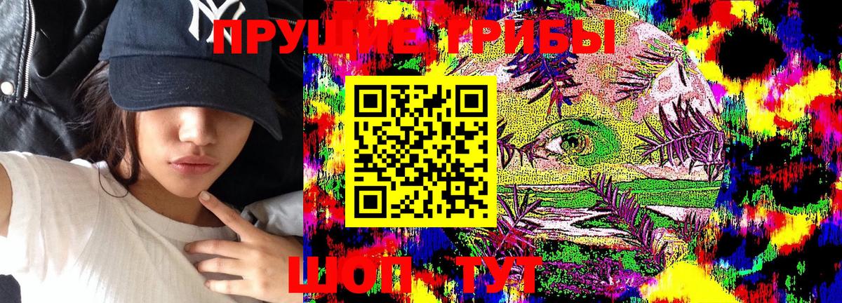 Кулебаки  Псилоцибиновые грибы Magic Shrooms  Вход с VPN 