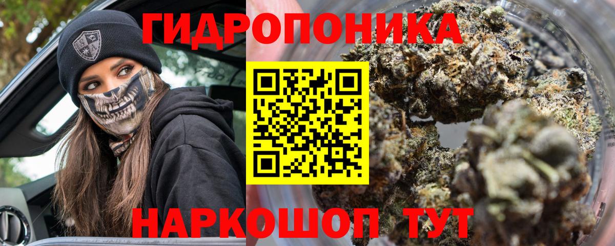 Бошки марихуана ГИДРОПОН  МАРИХУАНА конопля  Конопля сатива  Кулебаки  Вход с VPN 